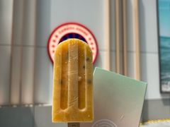 -Canada Goose加拿大鹅(北京三里屯太古里店)