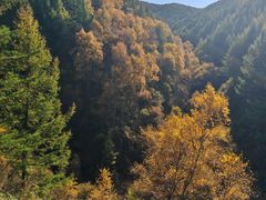 -苏木山森林公园