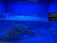 -大榭国际大酒店-中餐厅