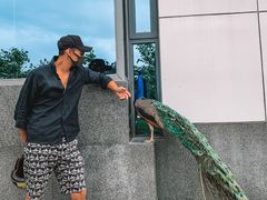 -东方时尚驾校摩托车考试场(东方时尚驾校西区店)