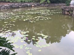 -三水森林公园