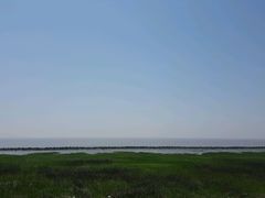 -南汇嘴观海公园