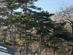 -阳台山自然风景区