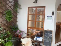 -有猫主题·治愈系猫咖(曾厝垵店)