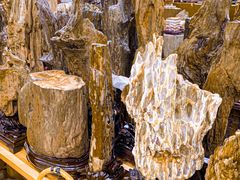 -新疆国际大巴扎