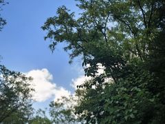 -森林公园(尖草坪区)