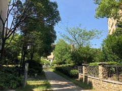 -上海崇明金茂凯悦酒店