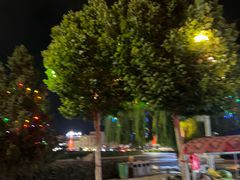 -特克斯八卦城