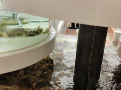 -上海白金汉爵大酒店(大零号湾国际会议中心店)