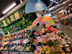 -盒马鲜生(红莲店)