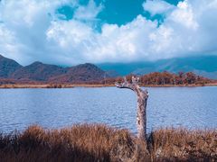 -大九湖