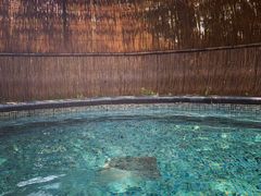 -广州都喜泰丽温泉度假酒店