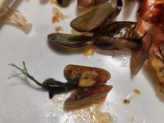 -79号渔船海鲜饭店(宝安店)