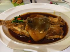 红烧河豚-肆月河豚·新淮扬(金融街店)