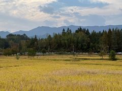 -塔川景区