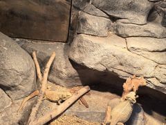 -福州罗源湾海洋世界旅游区