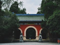 -灵谷景区