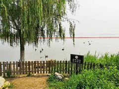 -天津东丽湖风景区