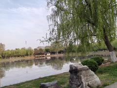 -堤角王师傅牛骨头