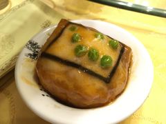 -丁老爷子苏香圆