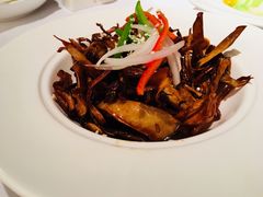 -老洋房花园饭店(绍兴路店)