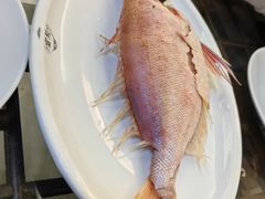 -吴记富苑(朝阳店)