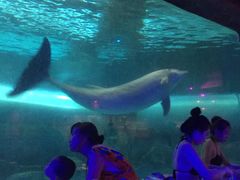 -波塞冬旅游度假区