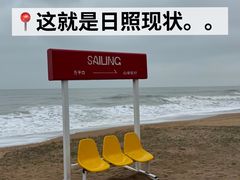 -日照海滨国家森林公园