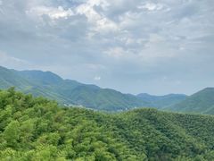 -宁波浙东大竹海景区