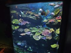 -暹罗海洋世界