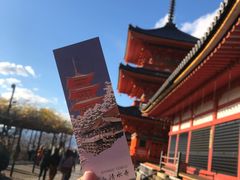 -有栖山 清光院 清水寺