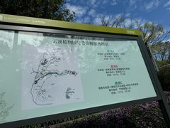-云溪植物园