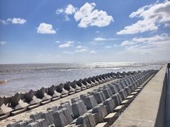 -南汇嘴观海公园