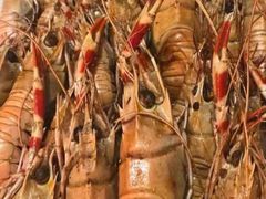-威海蓝海御华大饭店·蓝钻美食自助百汇