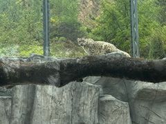 -青藏高原野生动物园