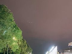 -安海五叔公土笋冻(西街店)
