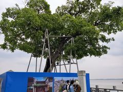 -观潮胜地公园