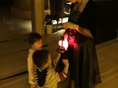 -上海东方佘山翰悦阁酒店·Vie全日制餐厅