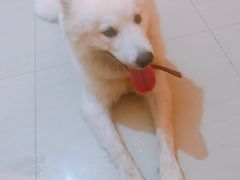 -宠颐生动物医院·全科·骨外科中心·利宠康分院