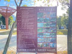 -南丹山森林王国