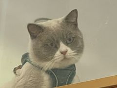 -悠尼宠物·独立低压伊珊娜洗护·美容·寄养(兰谷路店)