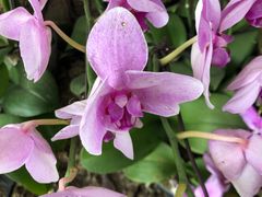 -南通洲际绿博园