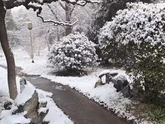 -华山御温泉度假村