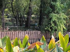 -东湖落雁景区