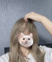 -IN 巷 salon明星店