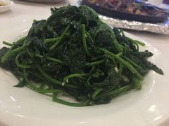 番薯叶-渔民新村(番禺总店)