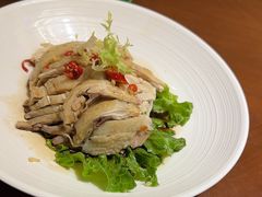-百味地锅鸡(财校分店)