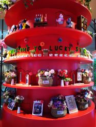 -LuckyStar幸运星家庭娱乐中心(东莞国贸店)