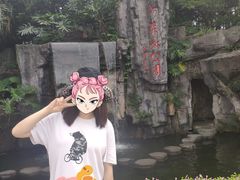 -广州市流溪河国家森林公园