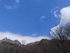 -朱雀国家森林公园